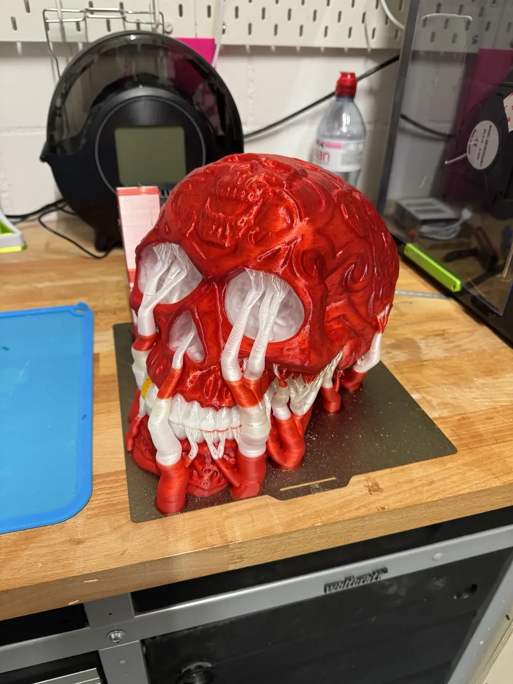 Totenkopf für ein Fasnachtskostüm